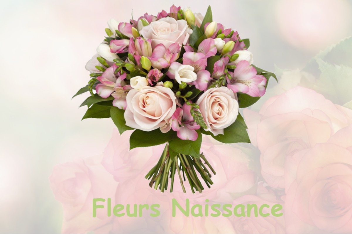 fleurs naissance LA-FERTE-BERNARD